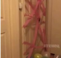 گویا خوشحال نشد از سورپرایزش