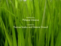 خیلی خیلی کوچک (1) (درخت همیشه بهار)