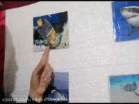 آموزش واحد کار آبزیان و حیوانات دریایی به کودکان