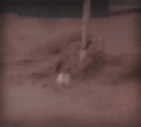 برای خانمها هیچ مانعی برای خرید  وجود نداره ...حتی سیل