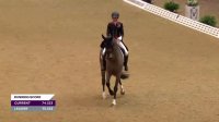 FEI Dressage World Cup 2019