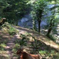 مرا سفر به کجا میبرد