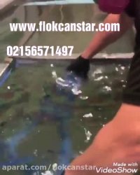 قیمت دستگاه هیدروگرافیک/فیلم آموزشی هیدروگرافیک,دستگاه هیدروگرافیک