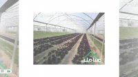 فروش گلخانه مجهز با پروانه در ماهدشت