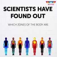 احساسات در بدن ما چه شکلی هستند؟