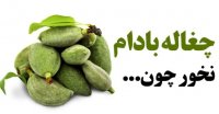 چغاله بادام نخور چون ...
