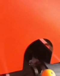 دستگاه sort کردن میوه