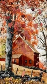 کلیپ کوتاه پاییزی اینستا 7