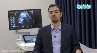 اکوی قلب جنین