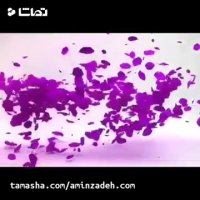 روانشناسی تبلیغات