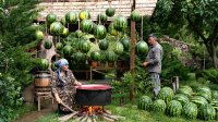 آشپزی روستایی در طبیعت آذربایجان :: مارشملوی هندوانه