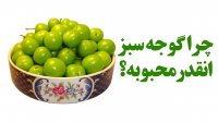 چرا گوجه سبز انقدر محبوبه؟