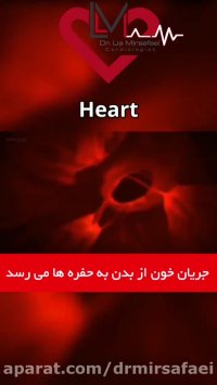 فیلم عملکردا قلب