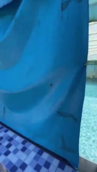 اجاره ویلا در شمال