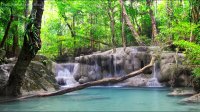 Waterfall & Jungle Sounds Relaxing Tropical Rainforest Nature Sounds Singing Birds Ambience