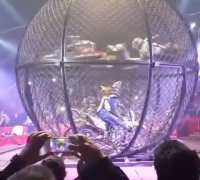 حرکات نمایشی زیبای 6 موتور در گوی چرخان