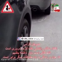 احترام به حقوق مخلوقات دیگر واجب است