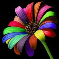 فروش دستگاه های :آبکاری / مخمل پاش / هیدروگرافیک/فانتا کروم09362022208