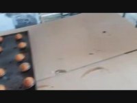 فر پخت ترکیبی ( کیک و نان و غذا و ... )