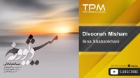 Sina Shabankhani - Divooneh Misham