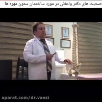 ساختمان ستون مهره ها