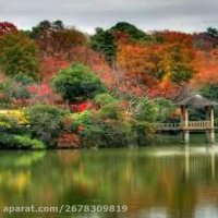 موسیقی اصیل -آهنگ ساقی- خواننده علی سیار