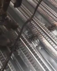 ابنیه گستر پارسیان(تسط مقاومت گلمیخ)