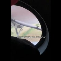 هیجان ترلان پروانه در آسمان