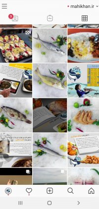 اینستاگرام ماهی خان