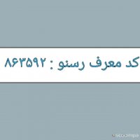 کسب درآمداز رسنو