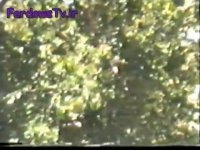 راهیان کربلای هشت 2