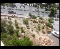 سازه‌های بلندمرتبه و نابودی فضای سبز در پردیس