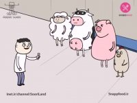 هم‌طویله‌ای- مترو !!