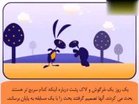 لاک پشت و خرگوش