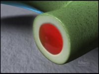 Newts Can Regenerate Limbs After Amputation— HHMI BioInteractive Video