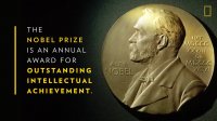 جایزه نوبل چیست؟