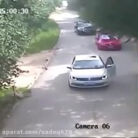 حمله ببر ب یک گردشگر در پارک جنگلی