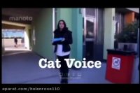 پناهگاه حیوانات بی سرپناه در لندن (بخش سگها)