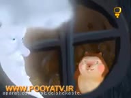 لالایی های کودکانه