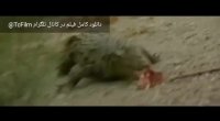 تیزر جدید شبی که ماه کامل شد (کامل)