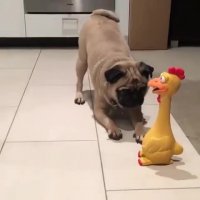 آخه عروسک هم ترس داره؟