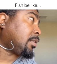 کلیپ خنده دار کوتاه زندگی ماهی ها