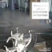 دستگاه مخمل پاش/ابکاری فانتاکروم/هیدروگرافیک 09399815524