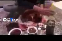 کسانی که بیماری قلبی و حساس به ترشی هستند این فیلم را نبینند