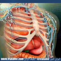 فتبارک الله الخالقین