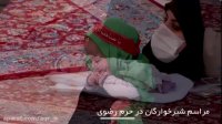ویژه‌برنامه عزاداری شیرخوارگان حسینی در حرم مطهر رضوی