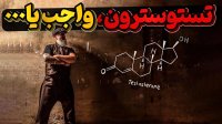 تستوسترون و بدن انسان آیا مصرف آن برای مردان واجب است؟
