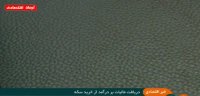 اخبار اقتصادی دوشنبه 20 خرداد 1398