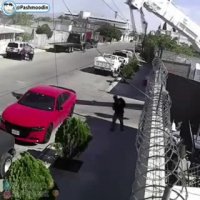 صاحب دوج قرمز خوش شانس ترین فرد جهانه