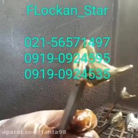 ساخت دستگاه ابکاری//فروش فرمول ابکاری//مخمل پاش02156571497